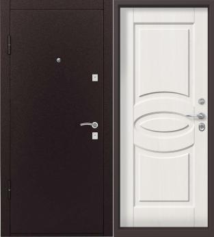 Дверь с порошковой покраской ПП №5